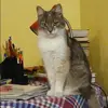 Отзыв от Оля Филатова